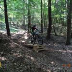 DSC04247.jpg