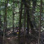 DSC_0426.jpg