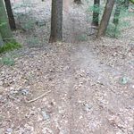 P1010580.jpg
