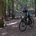 DSC_0442.jpg
