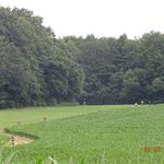 194-20170701-Kaiser Kaiser - DSC02424.jpg