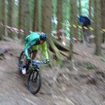 20160702112142-DSC00233.jpg