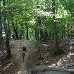DSC_0206.jpg