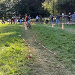 IMG_9785.jpg