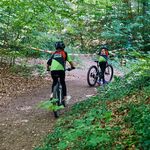DSC04620.jpg