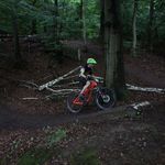 210-20170701-IMG_5061.jpg