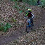 SWE07094.jpg