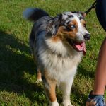 DSC_0019.jpg